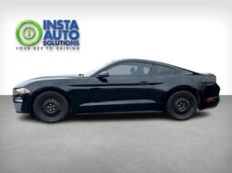 
										2019 Ford Mustang EcoBoost full									