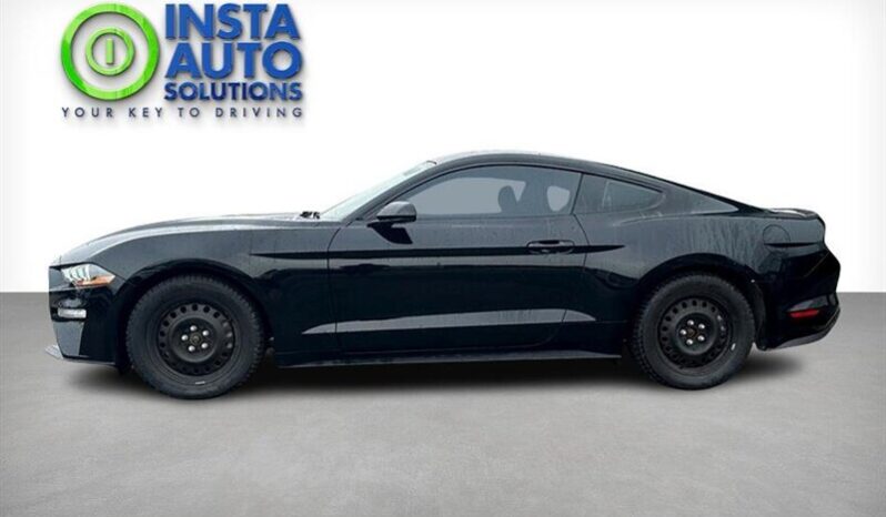 
								2019 Ford Mustang EcoBoost full									