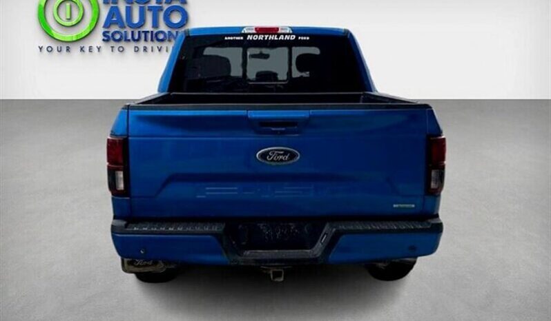 
								2019 Ford F-150 Lariat full									