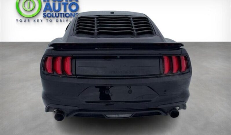 
								2019 Ford Mustang EcoBoost full									
