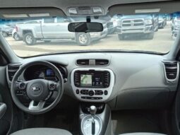 
										2016 Kia Soul EV-E full									
