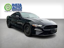 
										2019 Ford Mustang EcoBoost full									