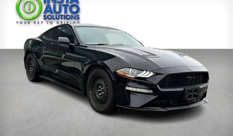 
								2019 Ford Mustang EcoBoost full									