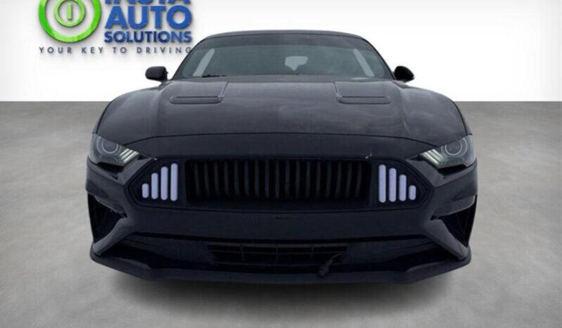 
								2019 Ford Mustang EcoBoost full									