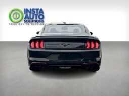 
										2019 Ford Mustang EcoBoost full									