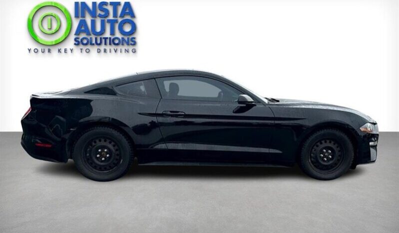 
								2019 Ford Mustang EcoBoost full									