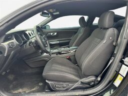 
										2019 Ford Mustang EcoBoost full									