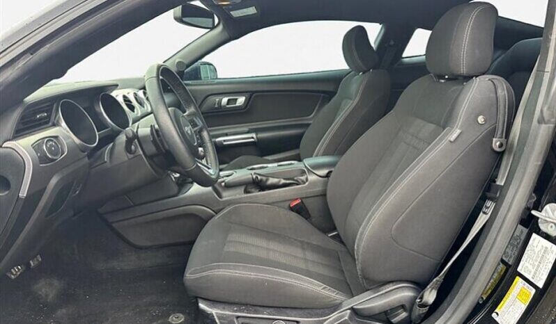 
								2019 Ford Mustang EcoBoost full									