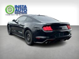 
										2019 Ford Mustang EcoBoost full									