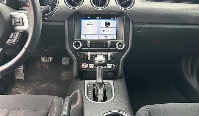 
								2019 Ford Mustang EcoBoost full									