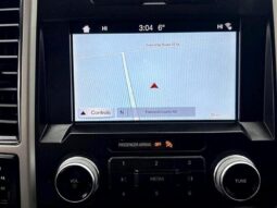 
										2019 Ford F-150 Lariat full									
