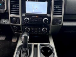 
										2019 Ford F-150 Lariat full									
