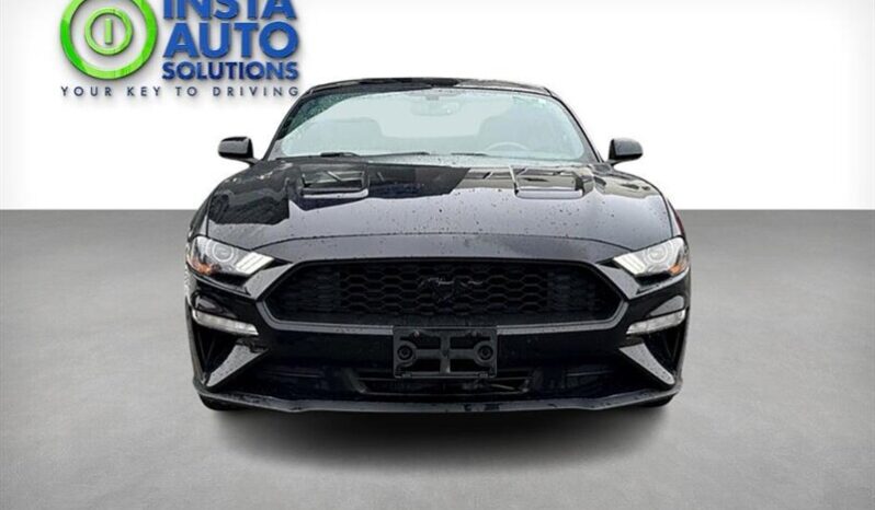 
								2019 Ford Mustang EcoBoost full									