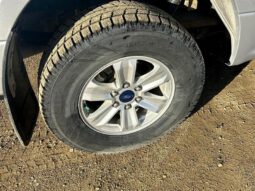 
										2019 Ford F-150 XLT full									