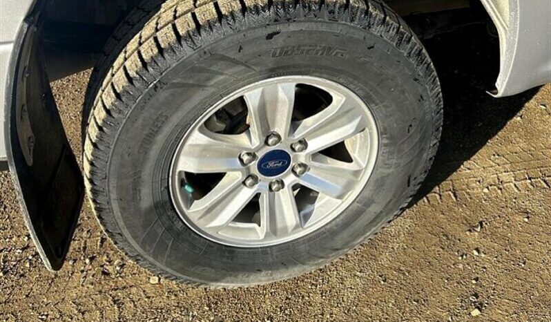 
								2019 Ford F-150 XLT full									