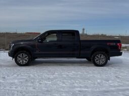 
										2017 Ford F-150 Lariat Sport FX4 full									