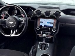 
										2019 Ford Mustang EcoBoost full									