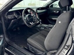 
										2019 Ford Mustang EcoBoost full									