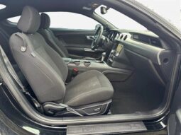 
										2019 Ford Mustang EcoBoost full									