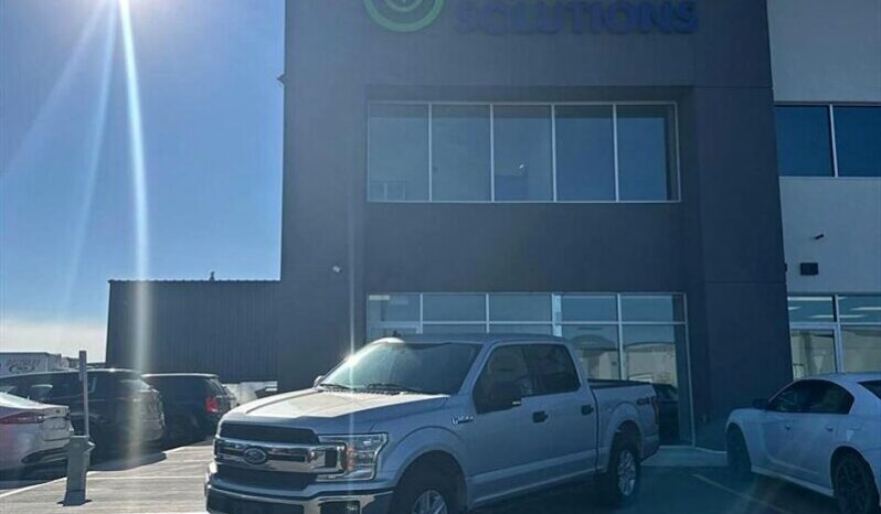 
								2019 Ford F-150 XLT full									