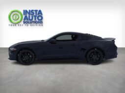 
										2019 Ford Mustang EcoBoost full									