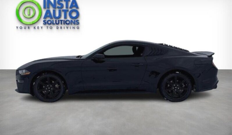
								2019 Ford Mustang EcoBoost full									