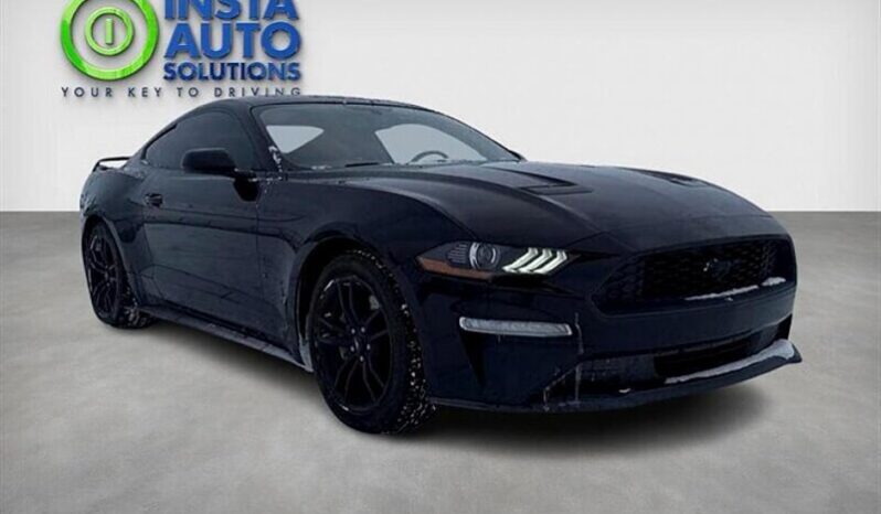 
								2018 Ford Mustang EcoBoost full									