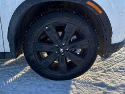 
										2024 Hyundai Palisade Urban full									