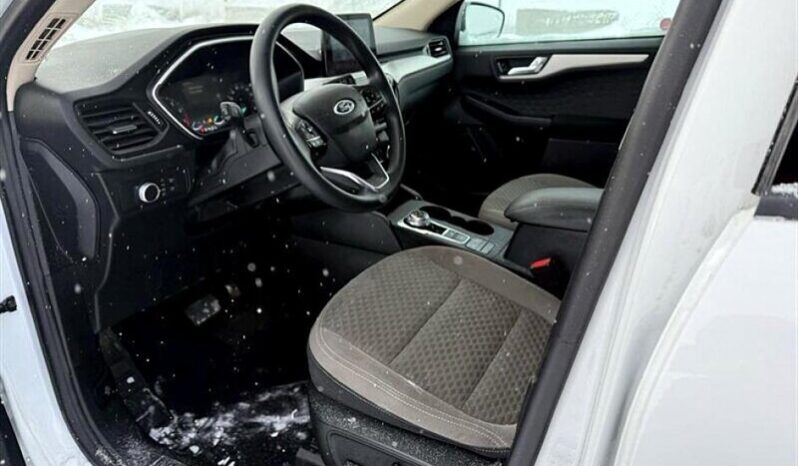 
								2020 Ford Escape SE full									