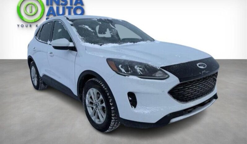 
								2020 Ford Escape SE full									