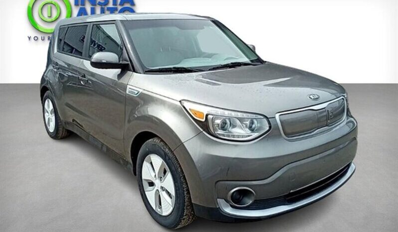 
								2016 Kia Soul EV-E full									
