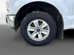 
										2019 Ford F-150 XLT full									