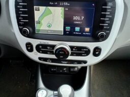 
										2016 Kia Soul EV-E full									