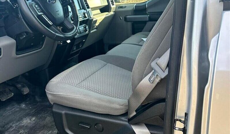 
								2019 Ford F-150 XLT full									