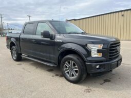 
										2015 Ford F-150 XLT Sport Crew Cab 4×4 5.0L full									