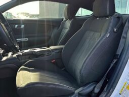 
										2019 Ford Mustang EcoBoost Fastback full									