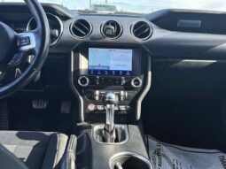 
										2019 Ford Mustang EcoBoost Fastback full									