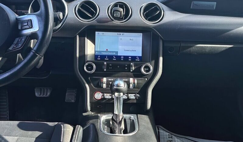 
								2019 Ford Mustang EcoBoost Fastback full									