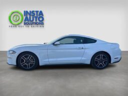 
										2019 Ford Mustang EcoBoost Fastback full									