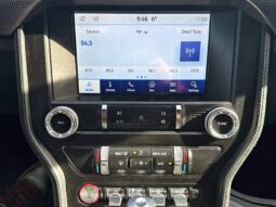 
										2019 Ford Mustang EcoBoost Fastback full									