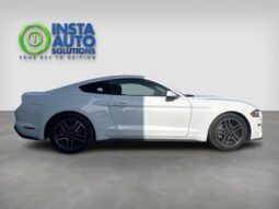 
										2019 Ford Mustang EcoBoost Fastback full									