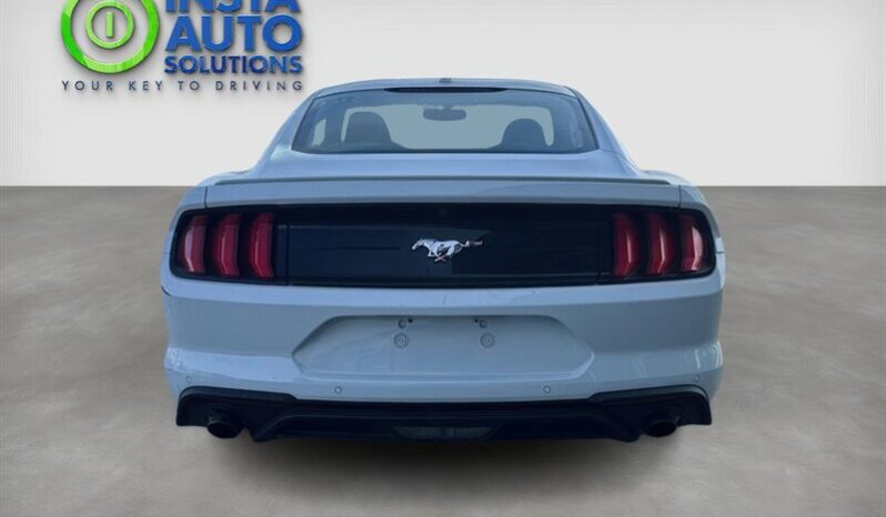 
								2019 Ford Mustang EcoBoost Fastback full									