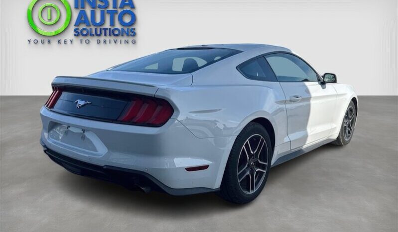 
								2019 Ford Mustang EcoBoost Fastback full									