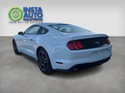 
										2019 Ford Mustang EcoBoost Fastback full									